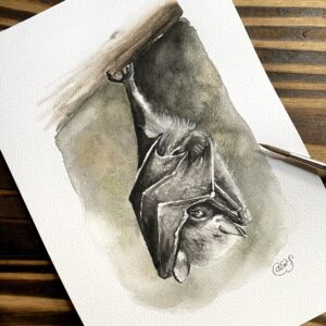 Chauve-souris